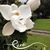Michele Gregory Tlucek's profile image