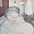 Lisa Roning Boehlke's profile image
