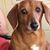 Susanne Mc Kenzie's profile image