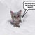 Glenis Marocco's profile image