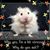 Denise Ann Smallwood's profile image