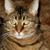 Janice Burke's profile image
