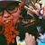 Bethany Frank's profile image