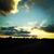Tina McCray Sheppard's profile image
