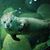Brandyn Bohlman's profile image
