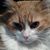 Kathy McCoy's profile image