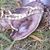Jeffro Bodine's profile image