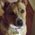 Mary Ann Nobles Haddad's profile image