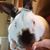 Missy Carman's profile image