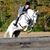 Lisa Combs Lemons's profile image