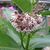 Nancy Koenig Sr's profile image