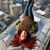 Tiffany Haslerud's profile image