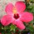 Michelle Lariviere's profile image