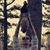 Jesse Whitlock's profile image