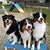 Angi Miller Candias's profile image
