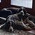 Pam Wilson Hunt's profile image