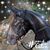 Debra Beswick Ryder's profile image