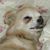 Eric Stockslager's profile image