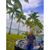 Rh Anes's profile image