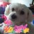 Michelle Stellinga's profile image