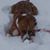 Michelle Pardo Hicks's profile image
