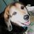 Bob Fizette's profile image