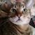 Heidi Lowe's profile image