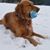 Karen Jacqueline Rosquist's profile image