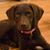 Sarah Buck's profile image