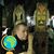 Enrico Arnulfo's profile image