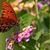 Jo Ann Sellers's profile image