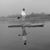 Dave Nicholson's profile image
