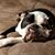 Shelly Wirth Geiger's profile image