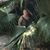 Naomi Osmond's profile image