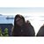 Patty Fernández's profile image