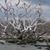 Shannon Holland Sharp's profile image