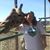 Elaine Strickland Clark's profile image