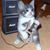 Jabaz Freeman II's profile image