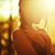 Paula Bruce Meese's profile image