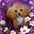 Terri Ward's profile image
