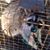 Randy Kutzner Sr.'s profile image