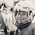 Diane Roberts's profile image