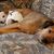 Michele Monk's profile image