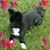 Diana Pietrzak's profile image