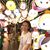 Ross Lynn Leong's profile image