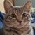 Jan Hanell Nickerson's profile image