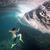 Charlie S. Walaka Greb's profile image
