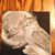 Mari Powers's profile image