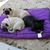 Deb Canavan's profile image