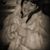 Ginnie Ellis's profile image